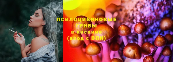 a pvp Михайлов