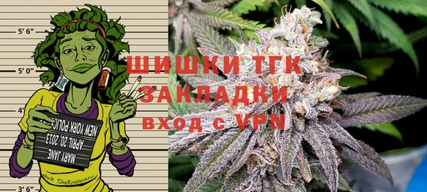 сатива Михайловка