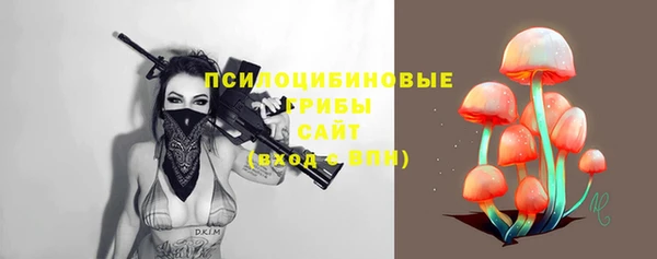 a pvp Михайлов