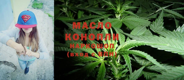 сатива Михайловка