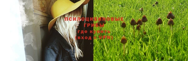 a pvp Михайлов