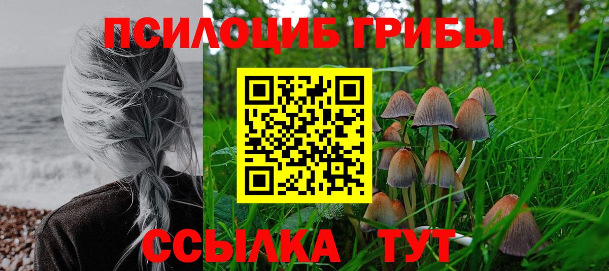 Псилоцибиновые грибы MAGIC MUSHROOMS  Вход с VPN  Пенза 