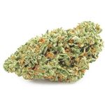 Шишки OG Kush  (Гидропоника, бошки) VHQ в Пензе
